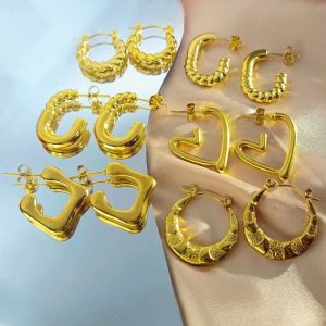 Stainless Steel Earrings